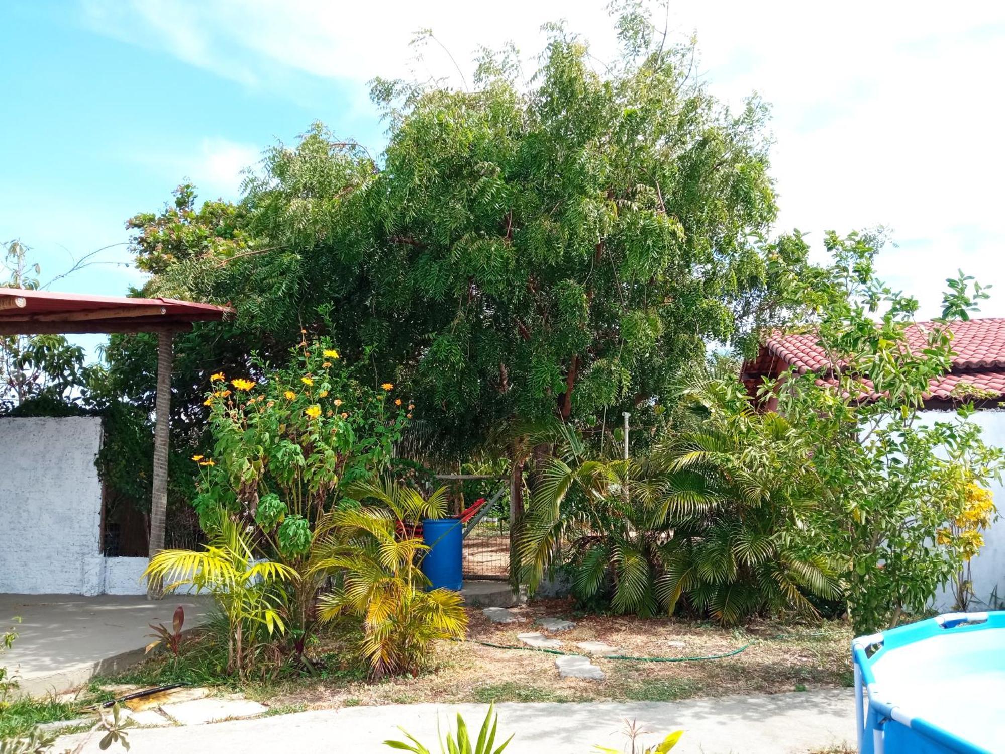 Casa Inti De Maracajau Villa Buitenkant foto